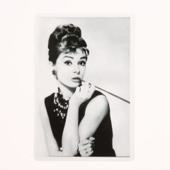 Audrey Hepburn Rectangle Stickers