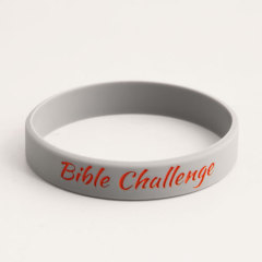 Bible Challenge Wristbands