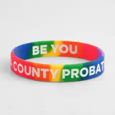 LA COUNTY PROBATION Wristbands LA COUNTY PROBATION Wristbands