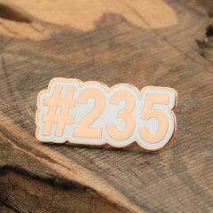 Number Plate Pins