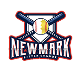 Newmark custom baseball pin 