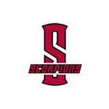 Scorpions custom baseball pin logo