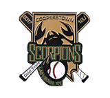 Scorpions custom baseball pin logo